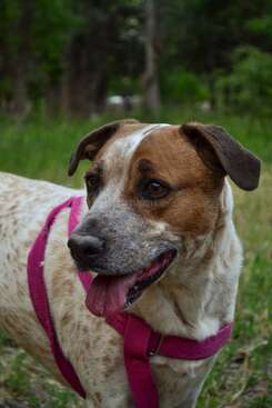 Profile photo of Perla