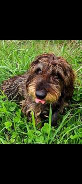 Profile photo of Alba