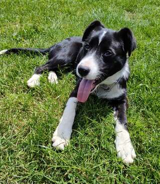 Profile photo of Jess