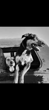 Profile photo of Star and Tip