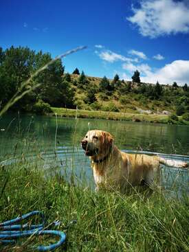 Profile photo of Flynn