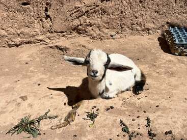 Profile photo of Deydi