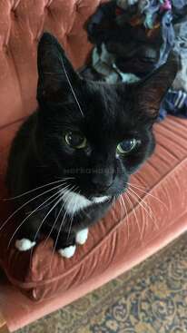 Profile photo of Esmé
