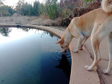 Profile photo of Zalabia+8