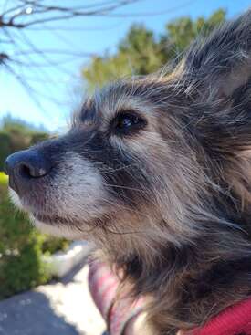 Profile photo of Betty
