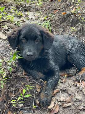 Profile photo of Frankie