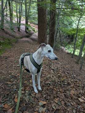 Profile photo of Frode