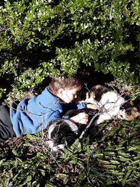 Profile photo of michi