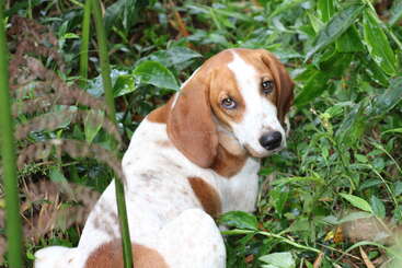 Profile photo of Orion