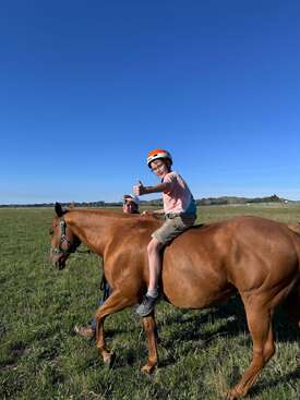 Profile photo of Fox