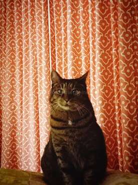 Profile photo of Zazou