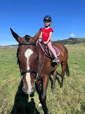 Profile photo of Basil