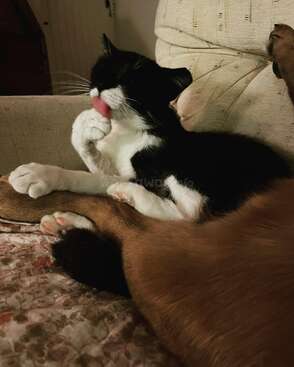 Profile photo of Mr Baggins