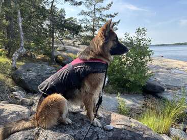 Profile photo of Freyja