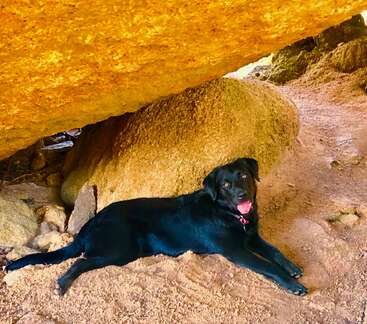 Profile photo of Nacho