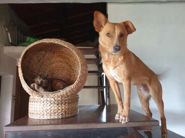 Profile photo of Jaco