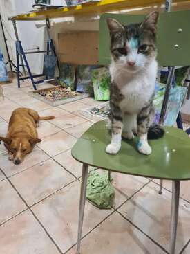 Profile photo of Tony 