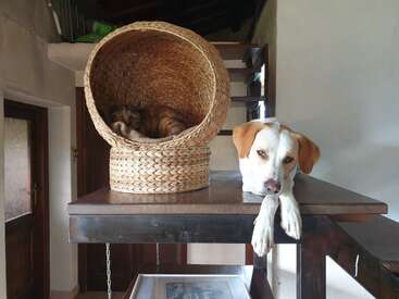 Profile photo of Vincent 