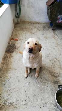 Profile photo of Zeus