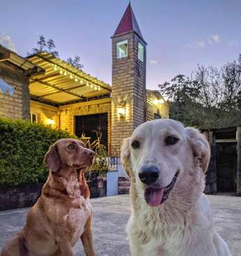 Profile photo of Alan y Narha