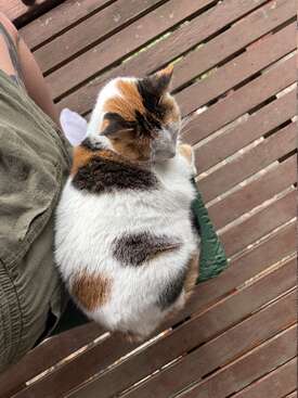 Profile photo of Kiki
