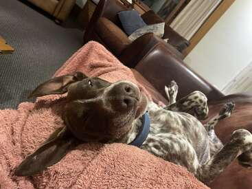 Profile photo of Ollie