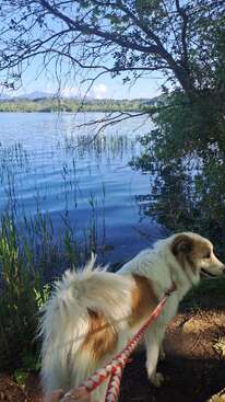 Profile photo of Mika