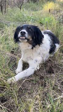 Profile photo of Frida