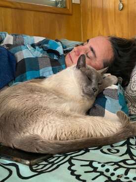 Profile photo of Mago