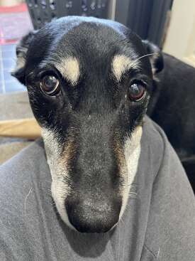 Profile photo of Bruce