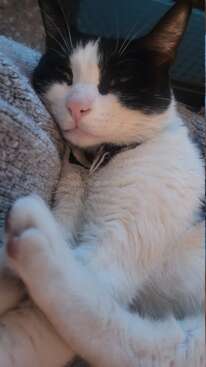 Profile photo of Puchita