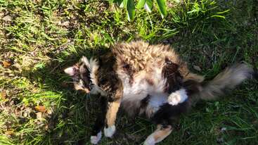 Profile photo of Penny