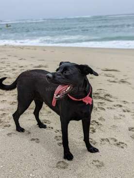 Profile photo of Ariel