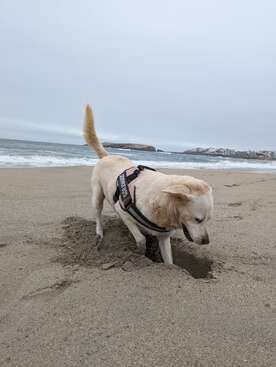 Profile photo of Sofia