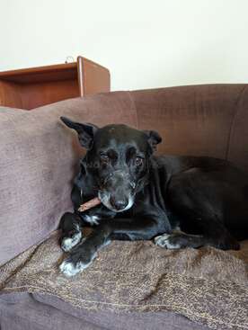 Profile photo of Eric