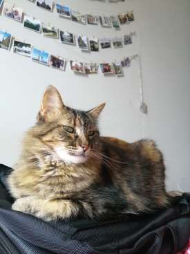 Profile photo of Ursula Amaranta