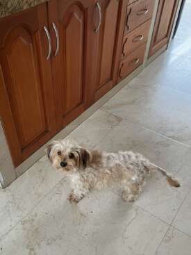 Profile photo of Atina