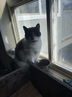 Profile photo of Freezer 