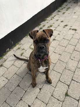 Profile photo of Trine