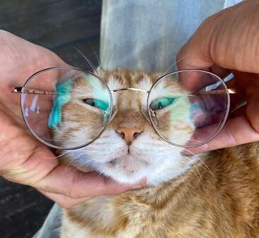 Profile photo of Maxi