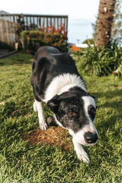 Profile photo of Maya