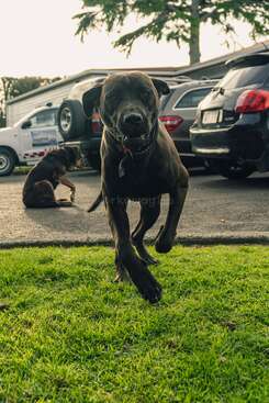 Profile photo of Ella