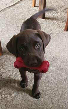 Profile photo of Moss