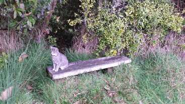 Profile photo of Boots