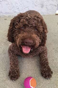 Profile photo of Janet