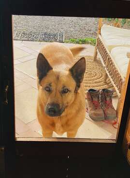 Profile photo of Kora