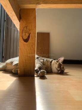 Profile photo of Nami