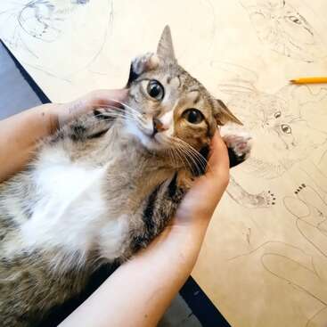 Profile photo of Coco