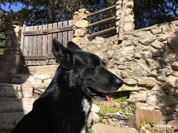 Profile photo of Paris