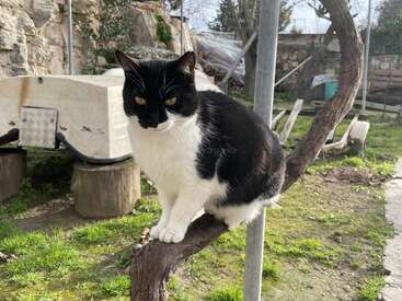 Profile photo of Cleo